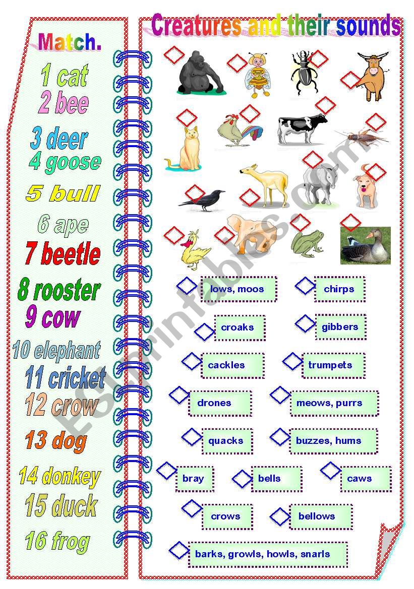 Creatures and their sounds Part 1 of 2 - Matching activities ** fully editable