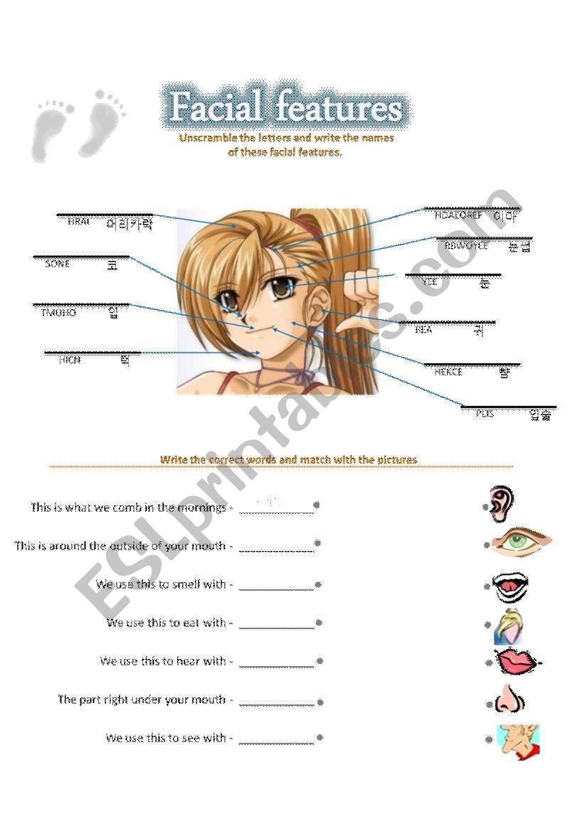 Facial Features worksheet