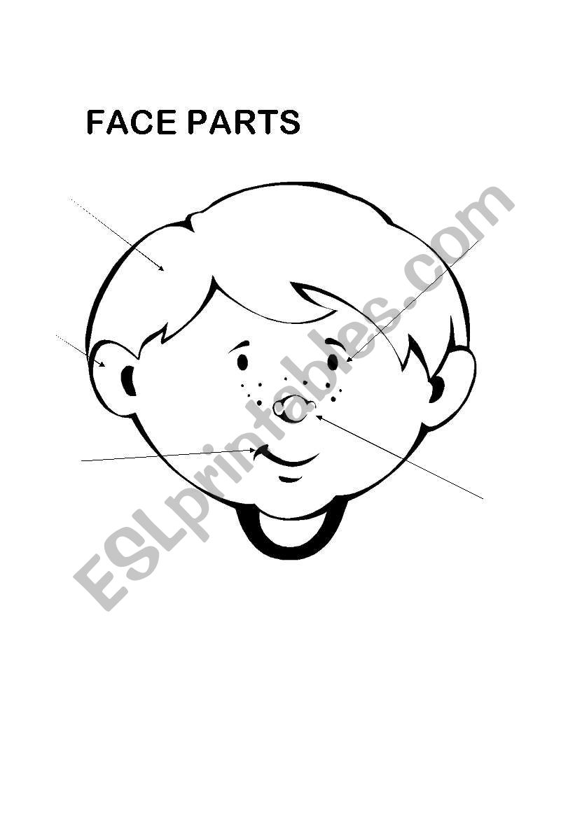 Face Parts worksheet