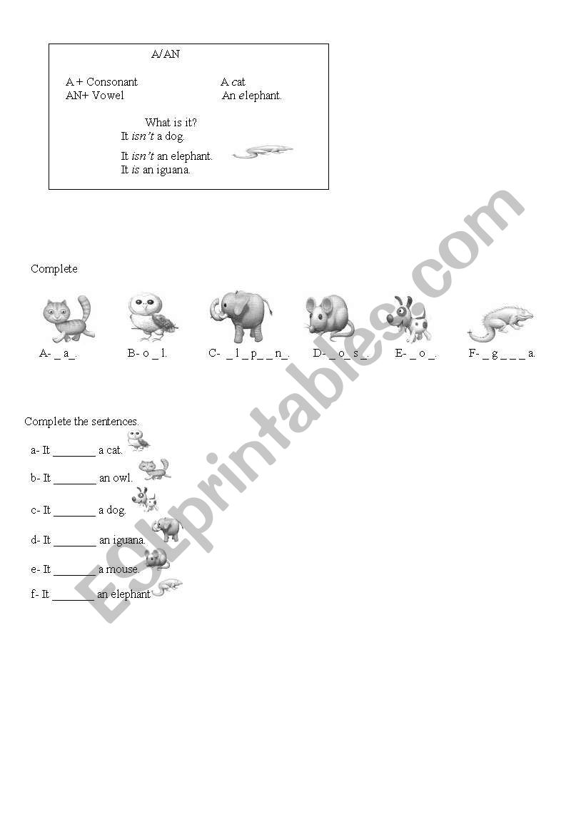 A / an worksheet