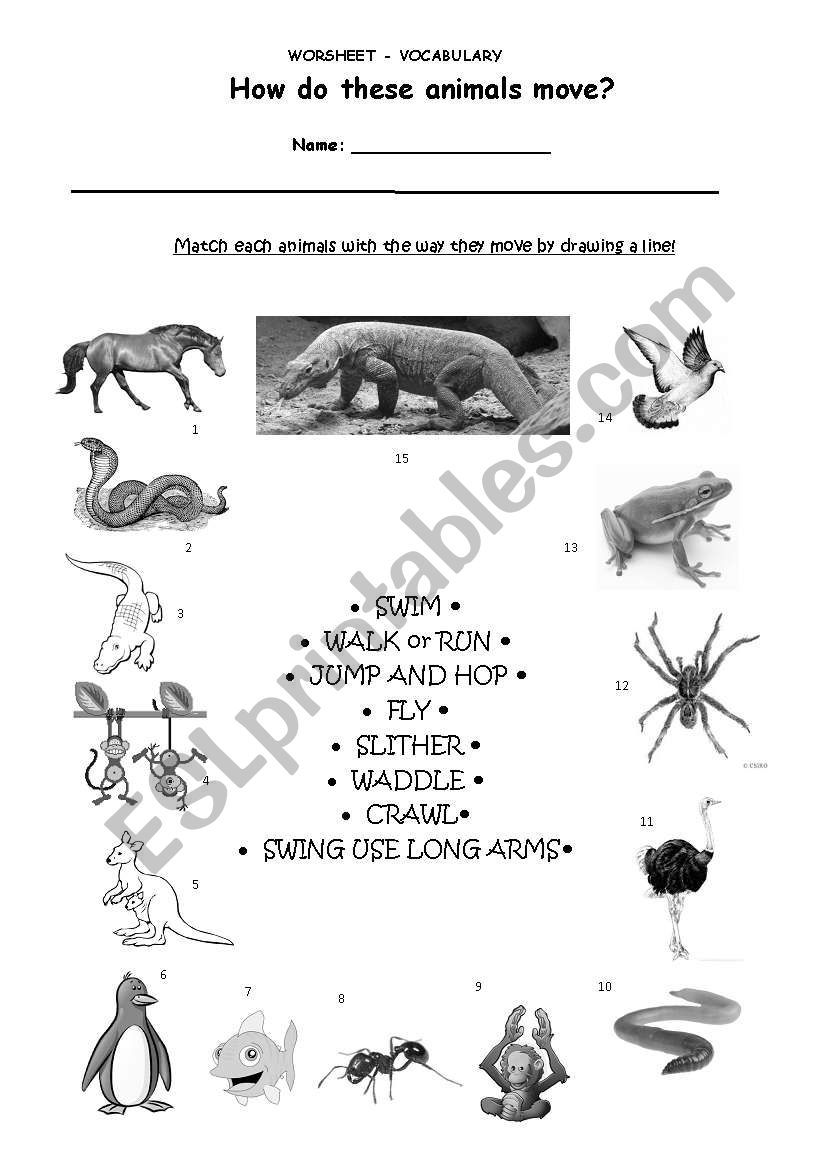 English worksheets: Vocabulary - How do animals move?