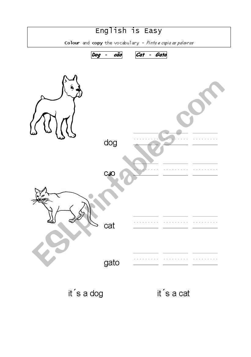 Dog and cat worksheet
