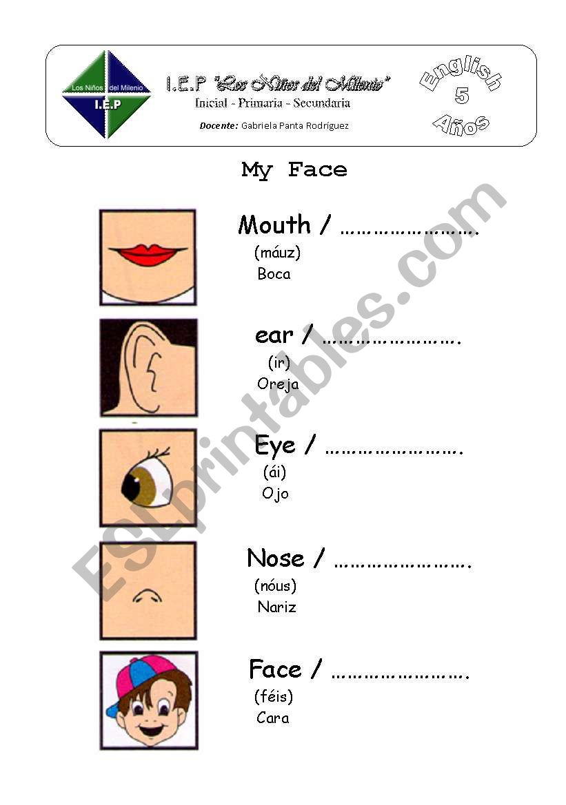 My Face worksheet