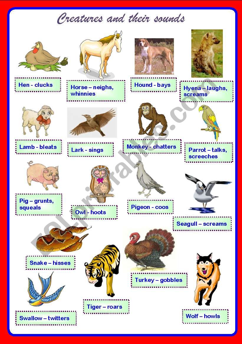 Creatures and their sounds Part 2 ** fully editable - ESL worksheet by  Sharin Raj