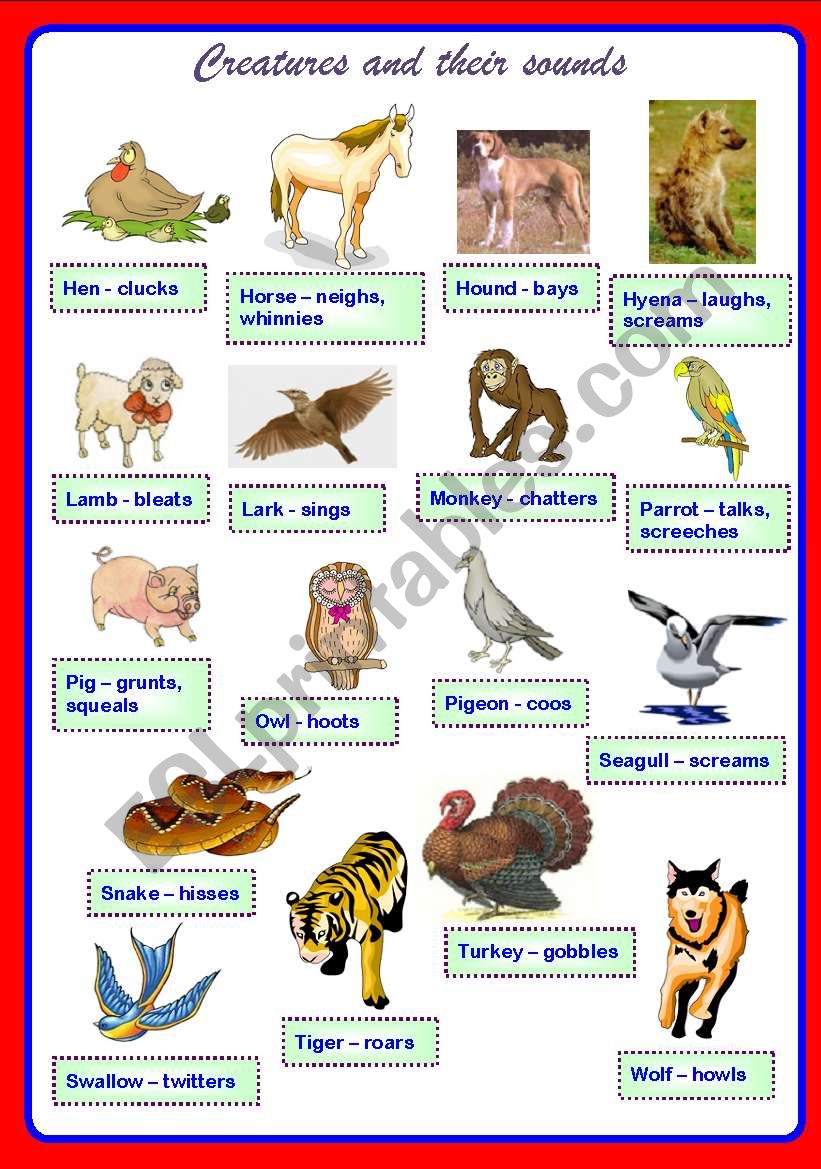 Creatures and their sounds Part 2 ** fully editable