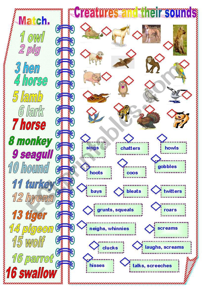 Creatures and their sounds Part 2 - Matching activities ** fully editable