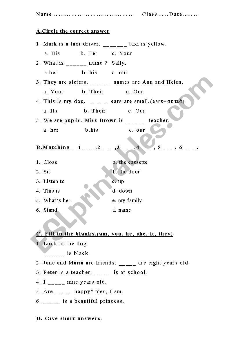 THE VERB TO BE TEST worksheet