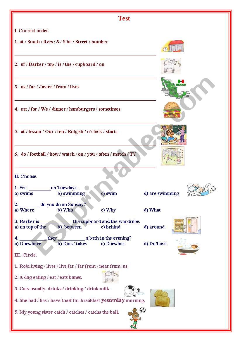 Present Simple  worksheet