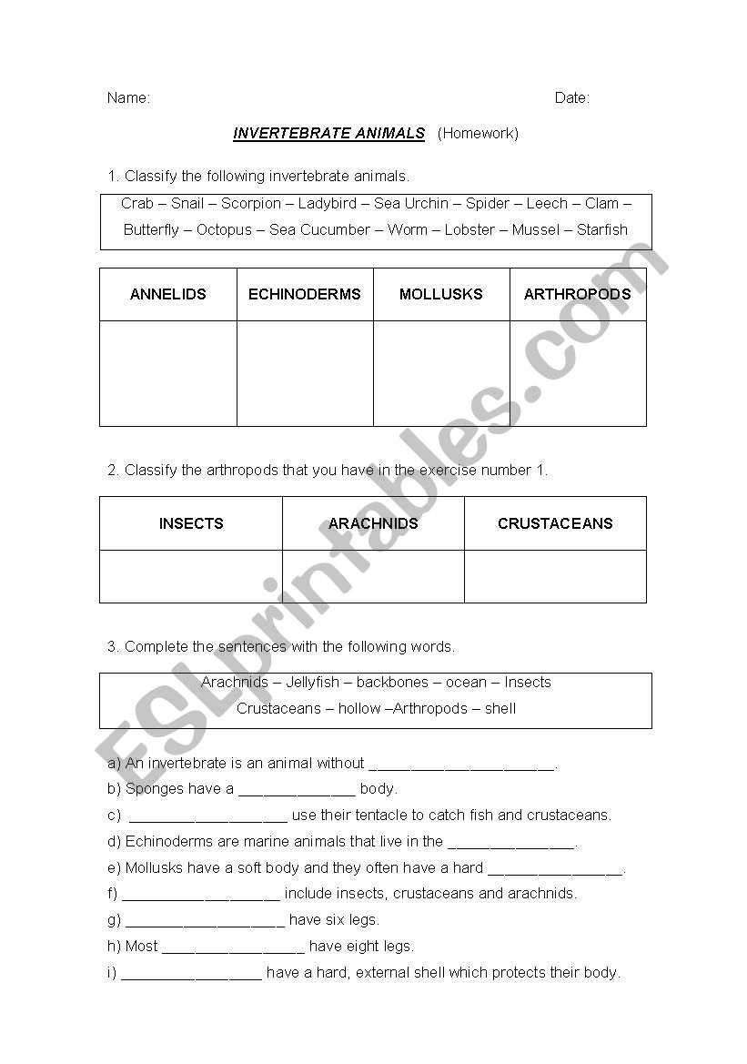 INVERTEBRATE ANIMALS worksheet