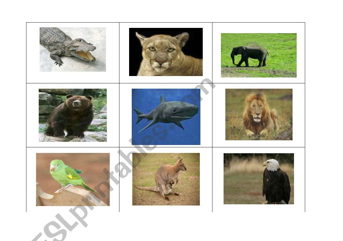 ANIMALS BINGO worksheet