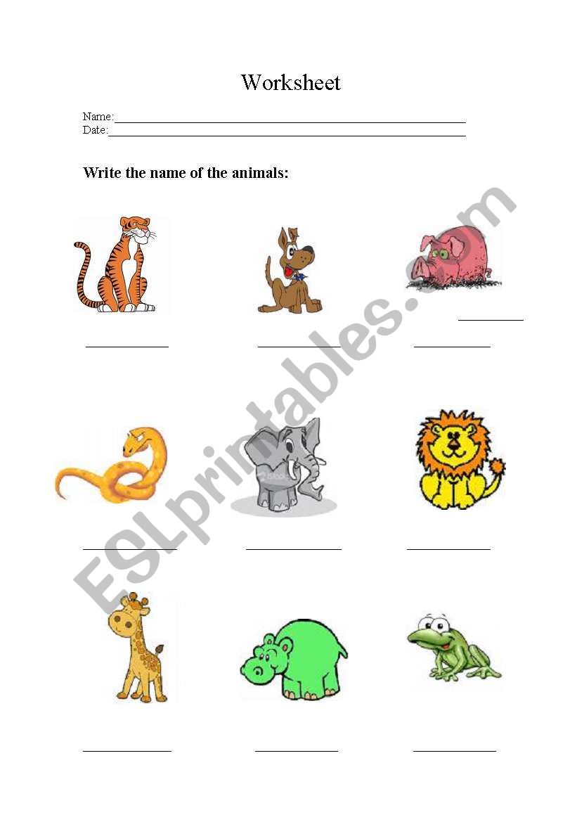 animals worksheet