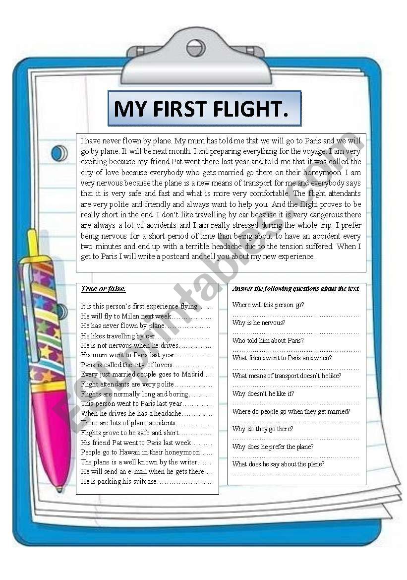 essay my trip flight