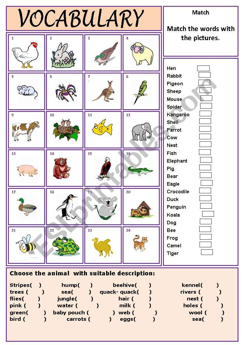 Animals worksheet