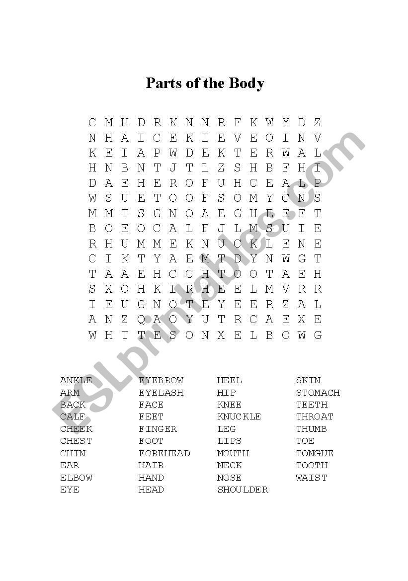 Parts of the Body Word Search Puzzle