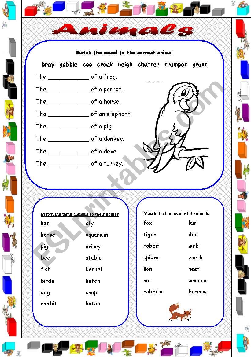 Animals worksheet