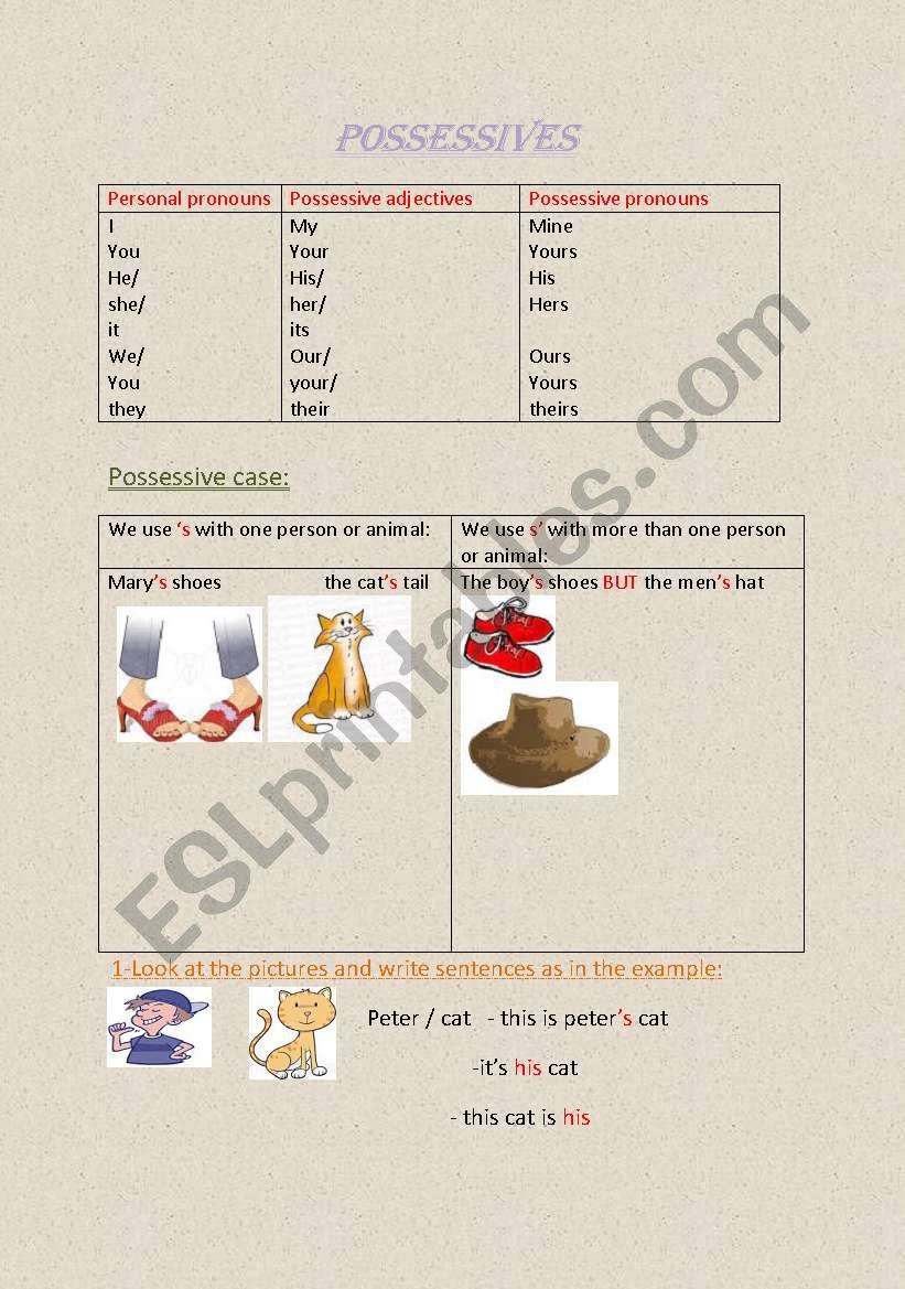 possessives worksheet