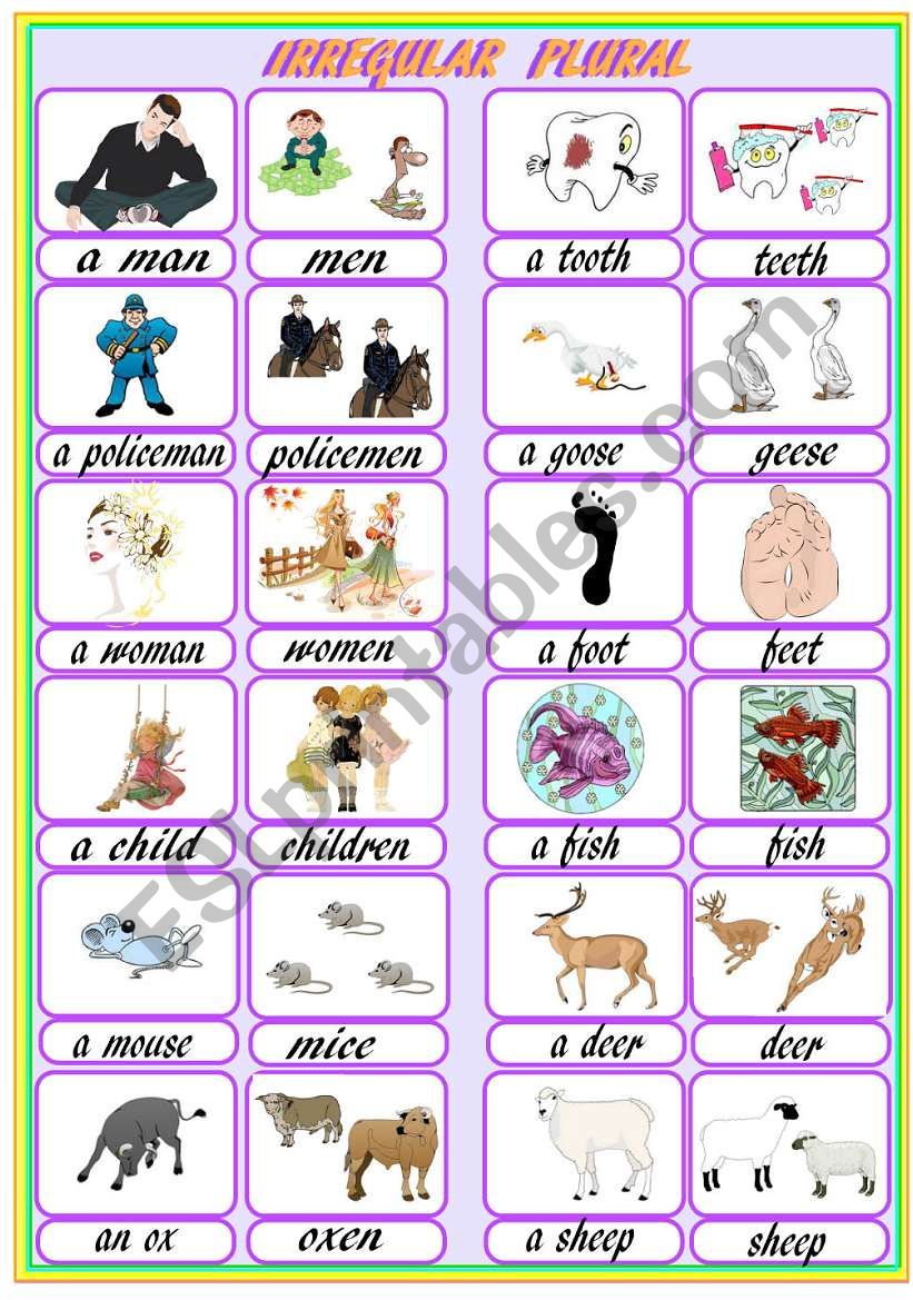 Irregular plural worksheet