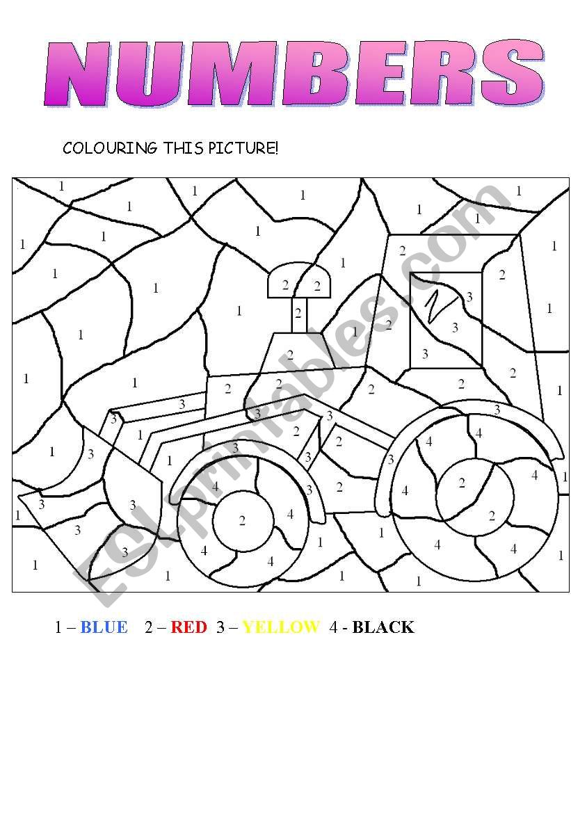 Transport worksheet