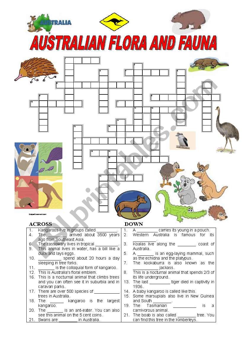 Australian flora and fauna worksheet