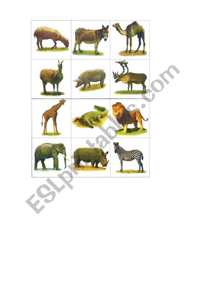 Animals Bingo worksheet