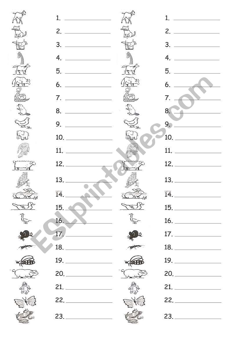 guess animals worksheet