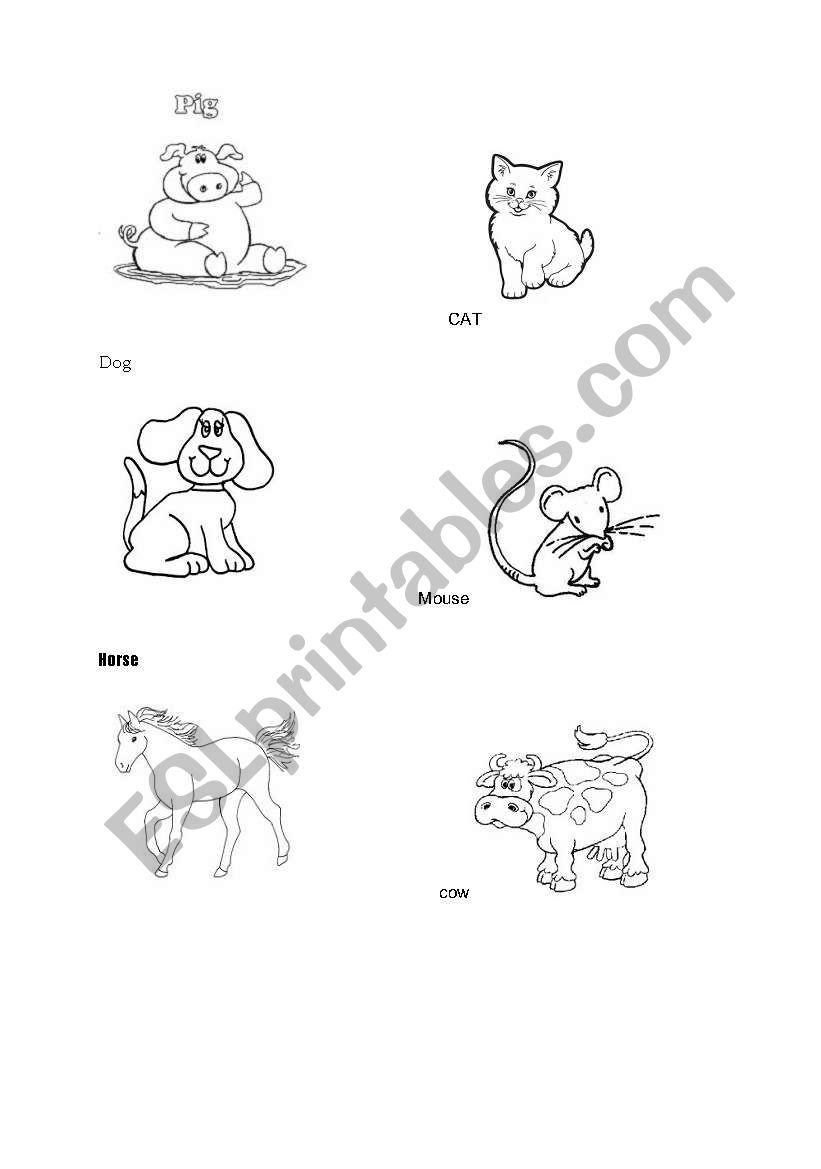 Animals worksheet