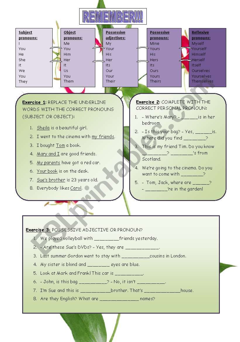 Pronouns worksheet