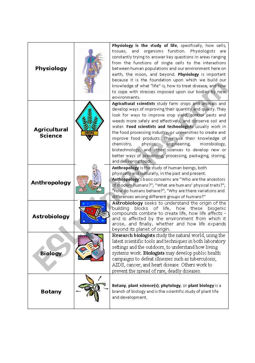 Job opportunity worksheet