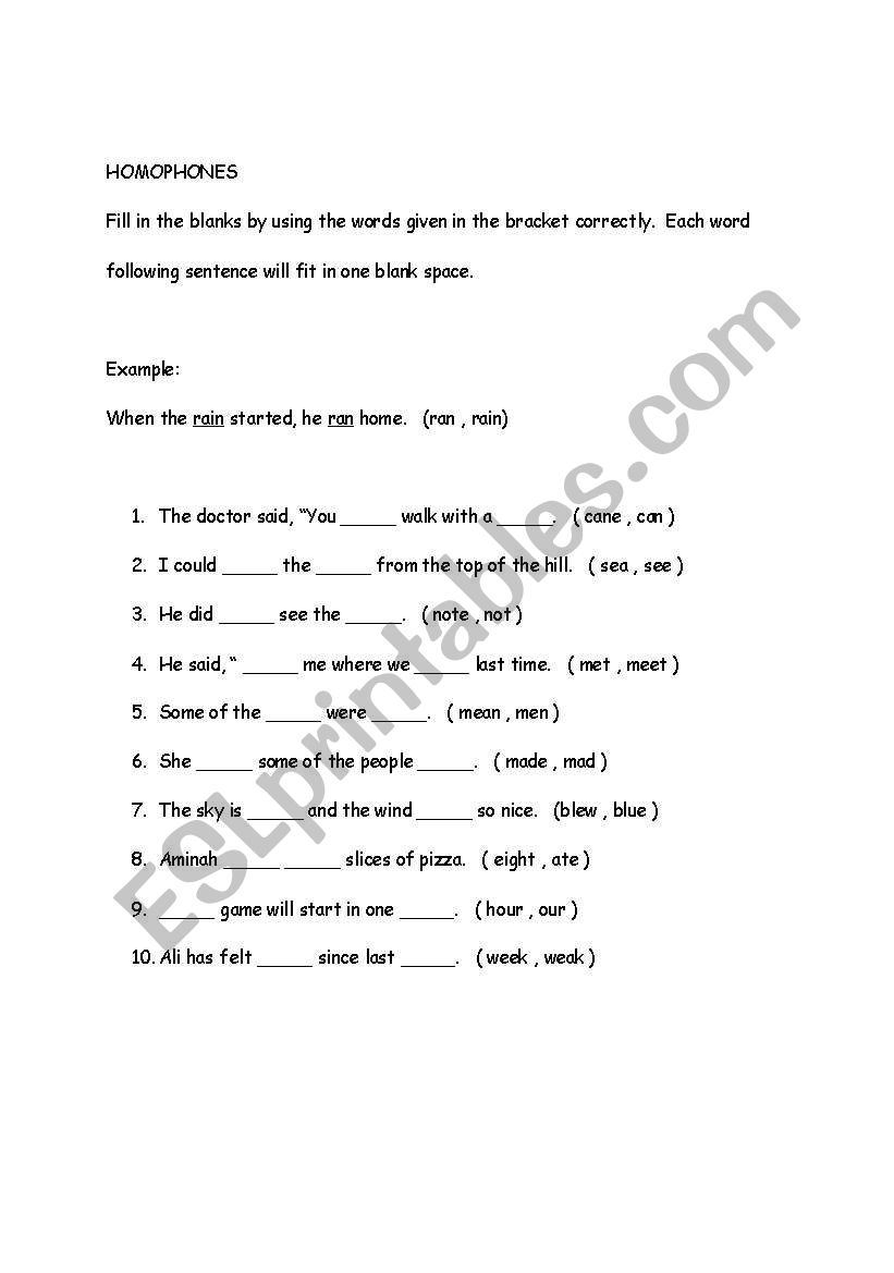 homophones worksheet