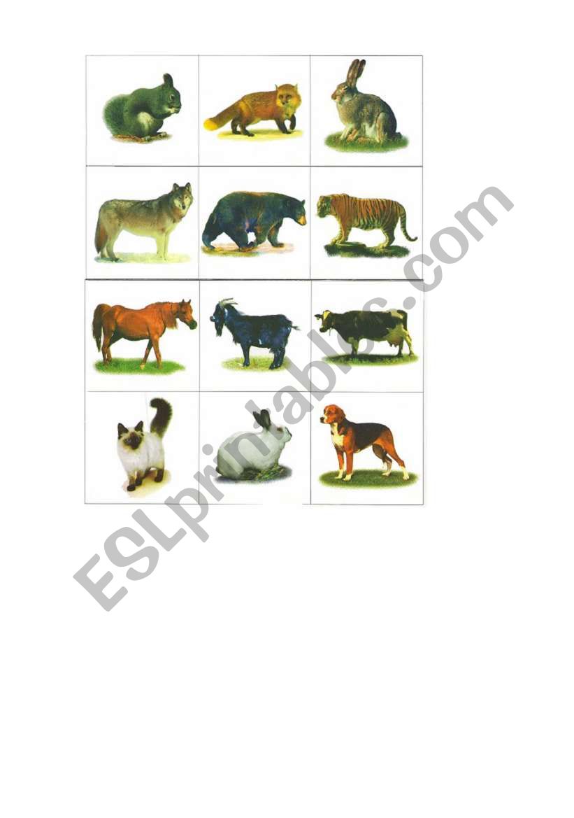 Animals Bingo worksheet