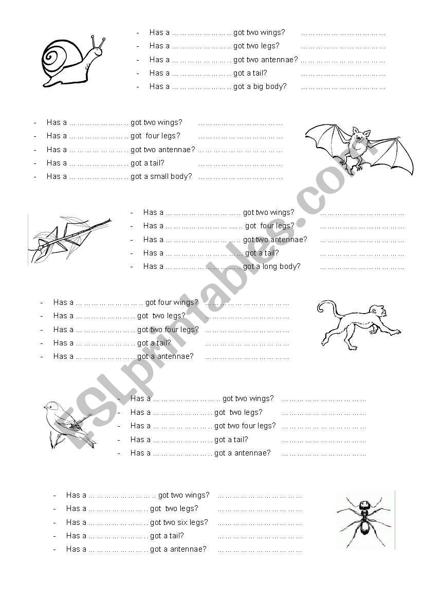 Animals and insects worksheet
