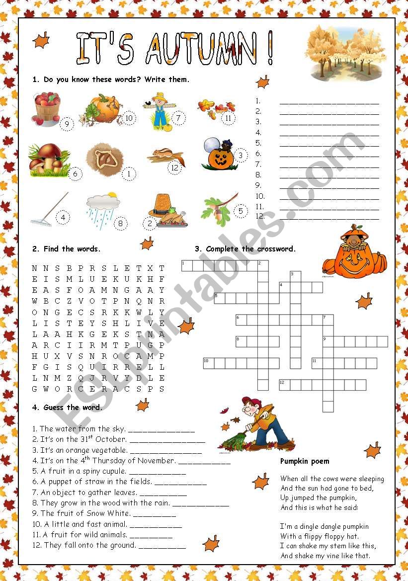 ITÂ´S AUTUMN! worksheet