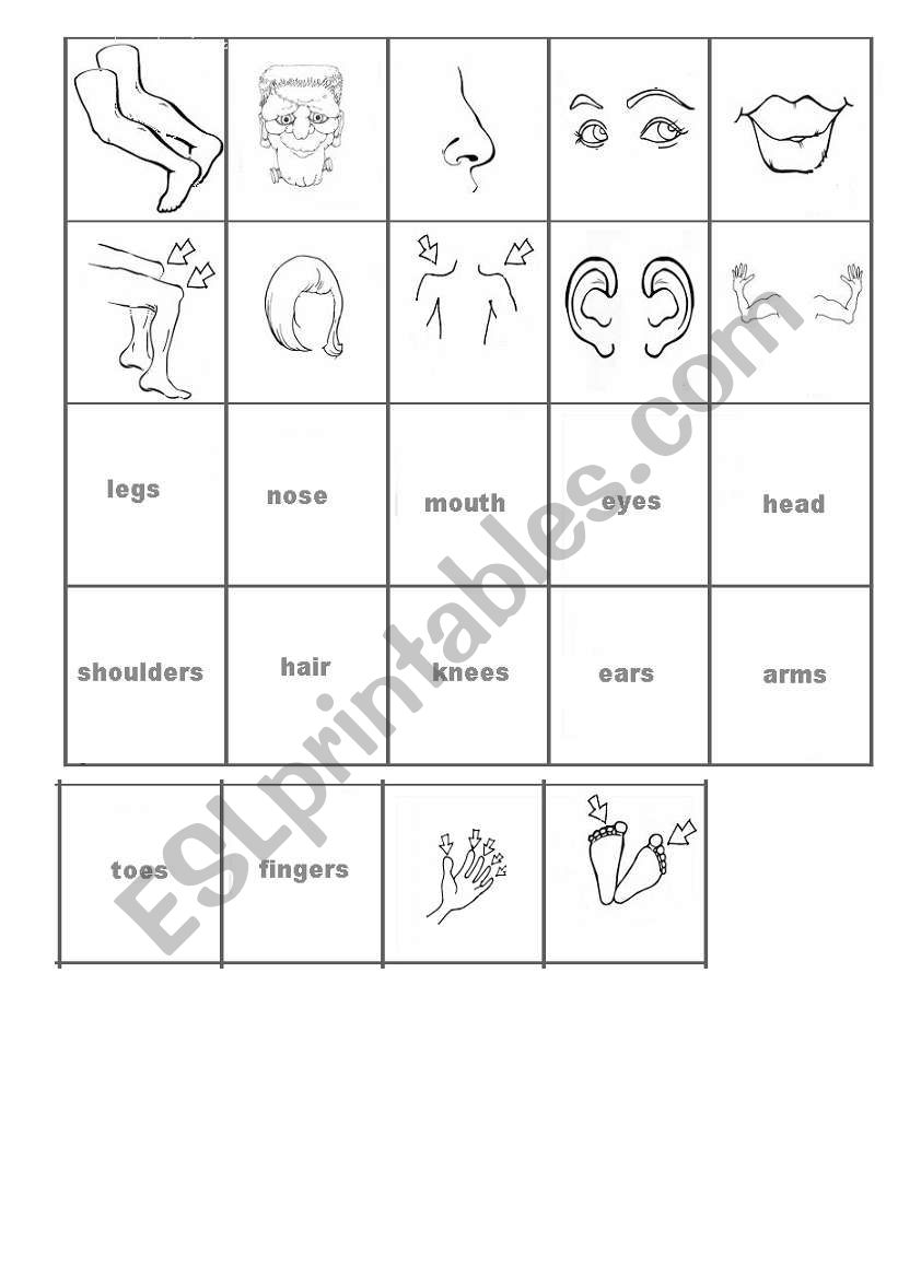 parts of the body worksheet