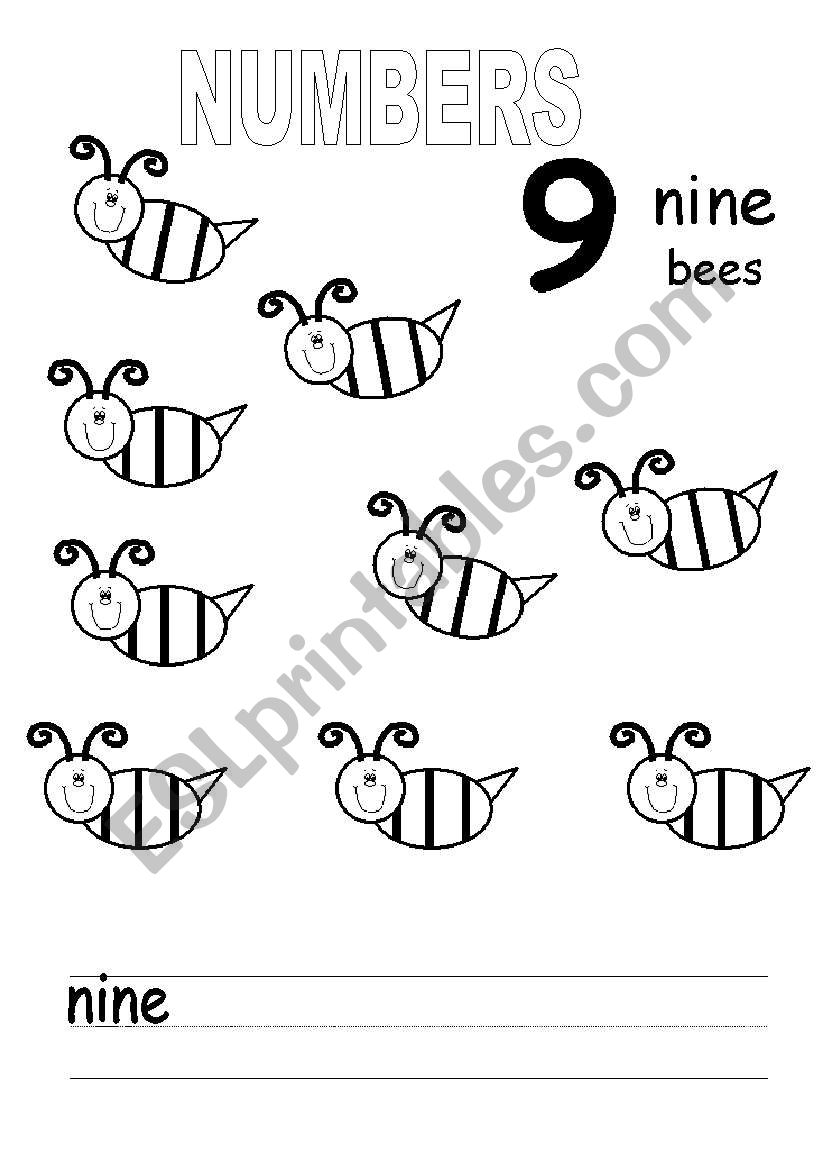 numbers worksheet