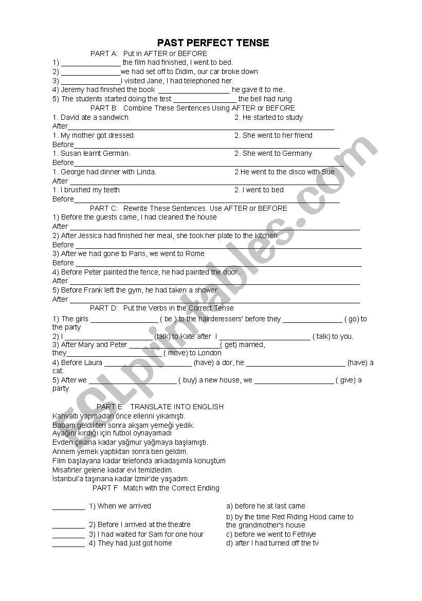 exercises worksheet