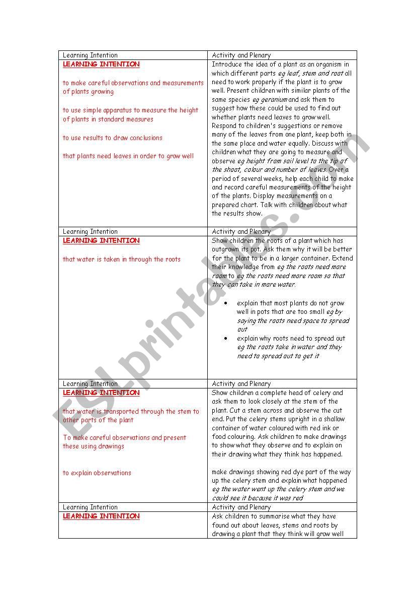 year 3 plants planning worksheet