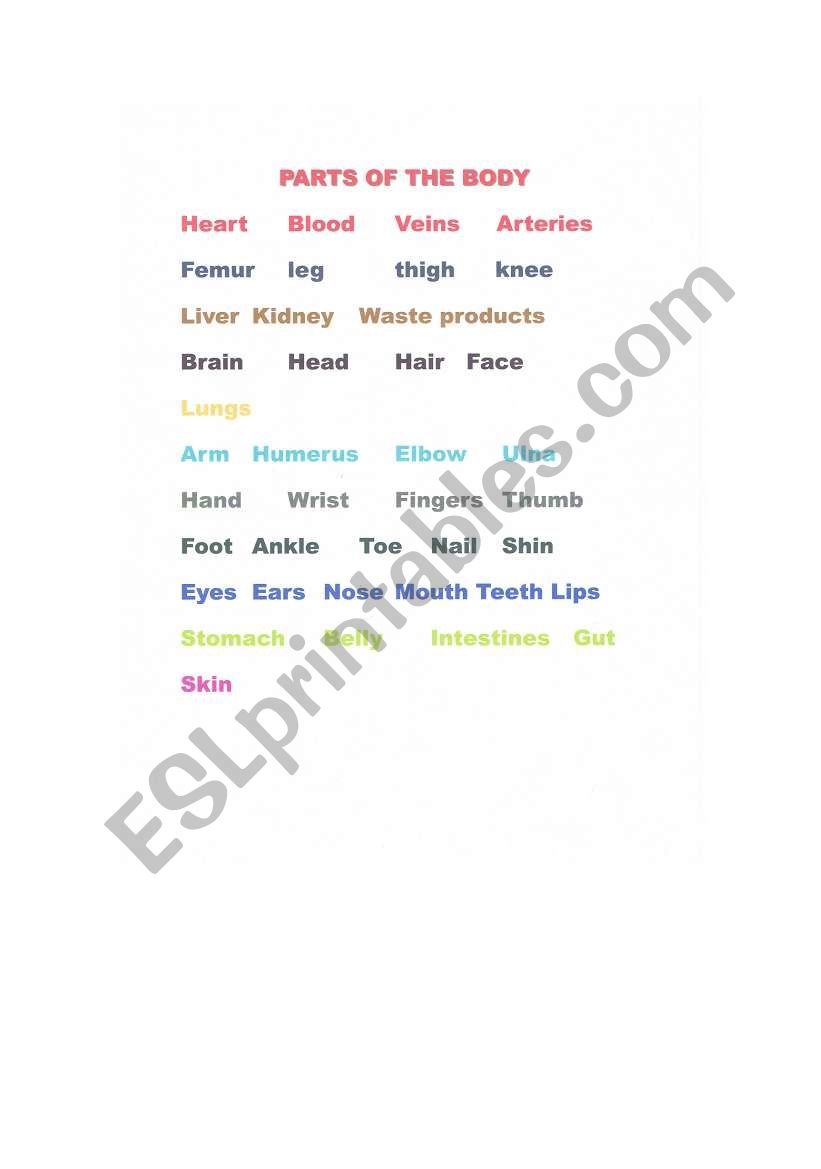 Parts of the Body (Detail) worksheet