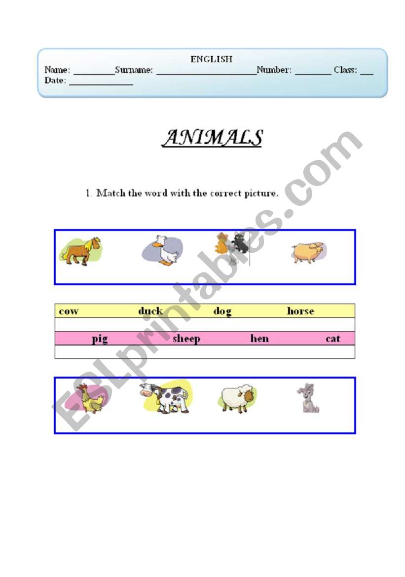 Animals worksheet