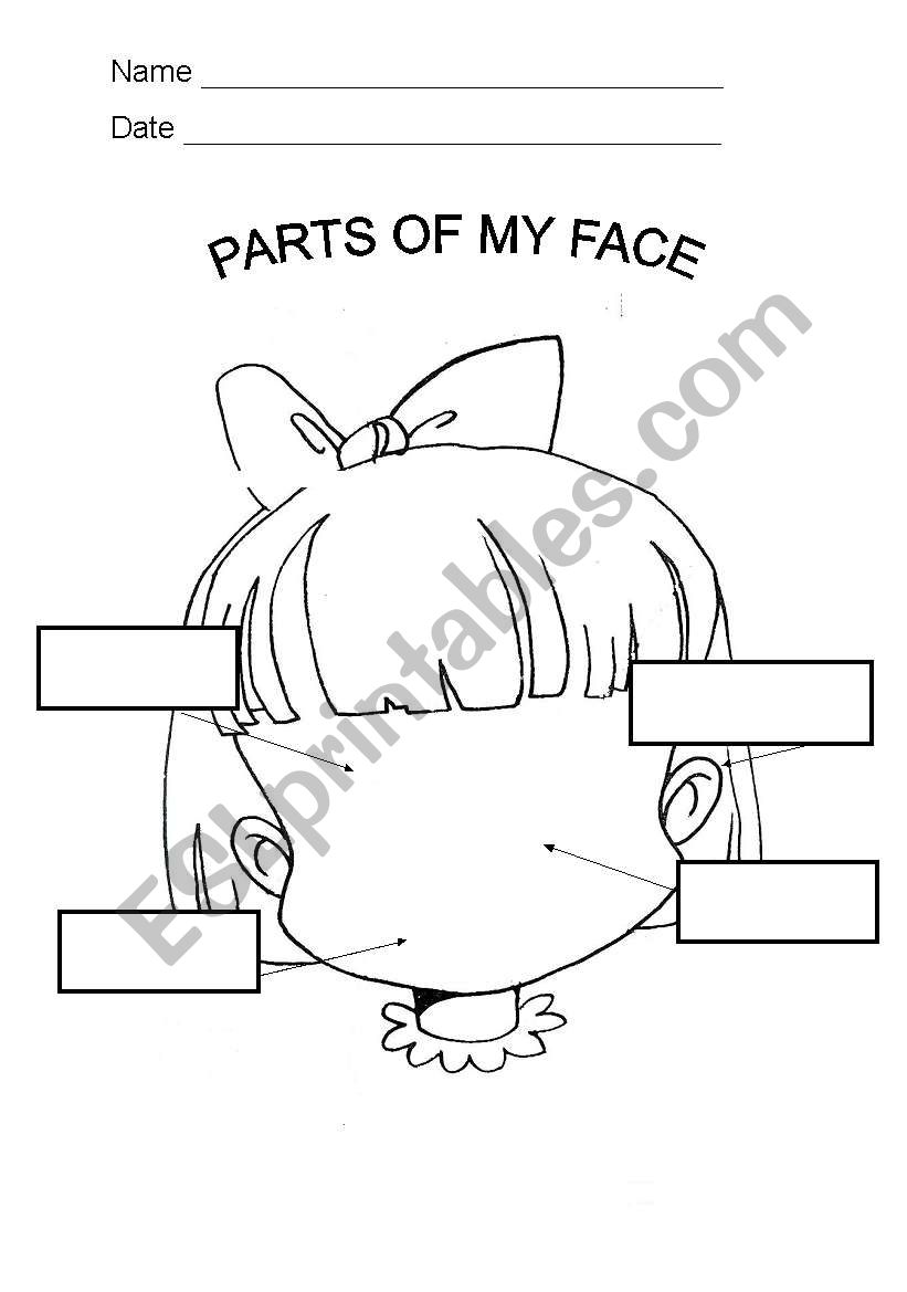 PARTS OF MY FACE worksheet