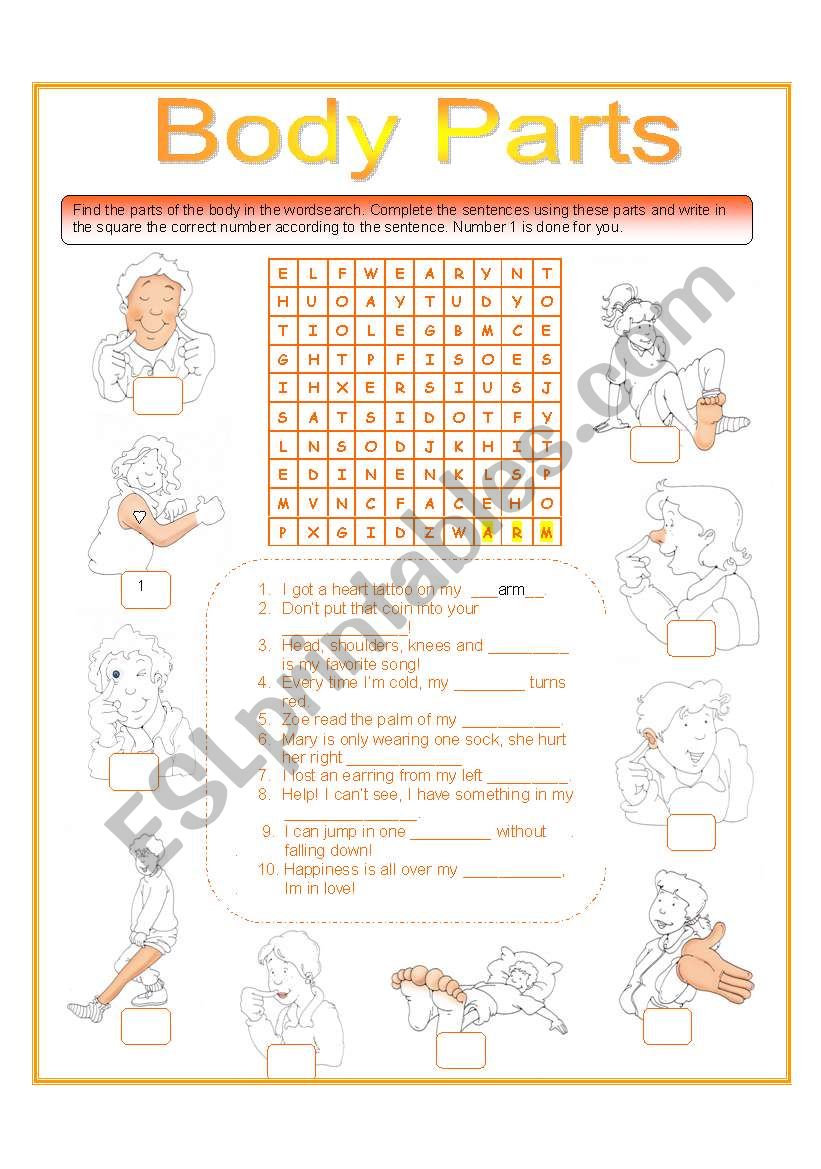 body parts review worksheet