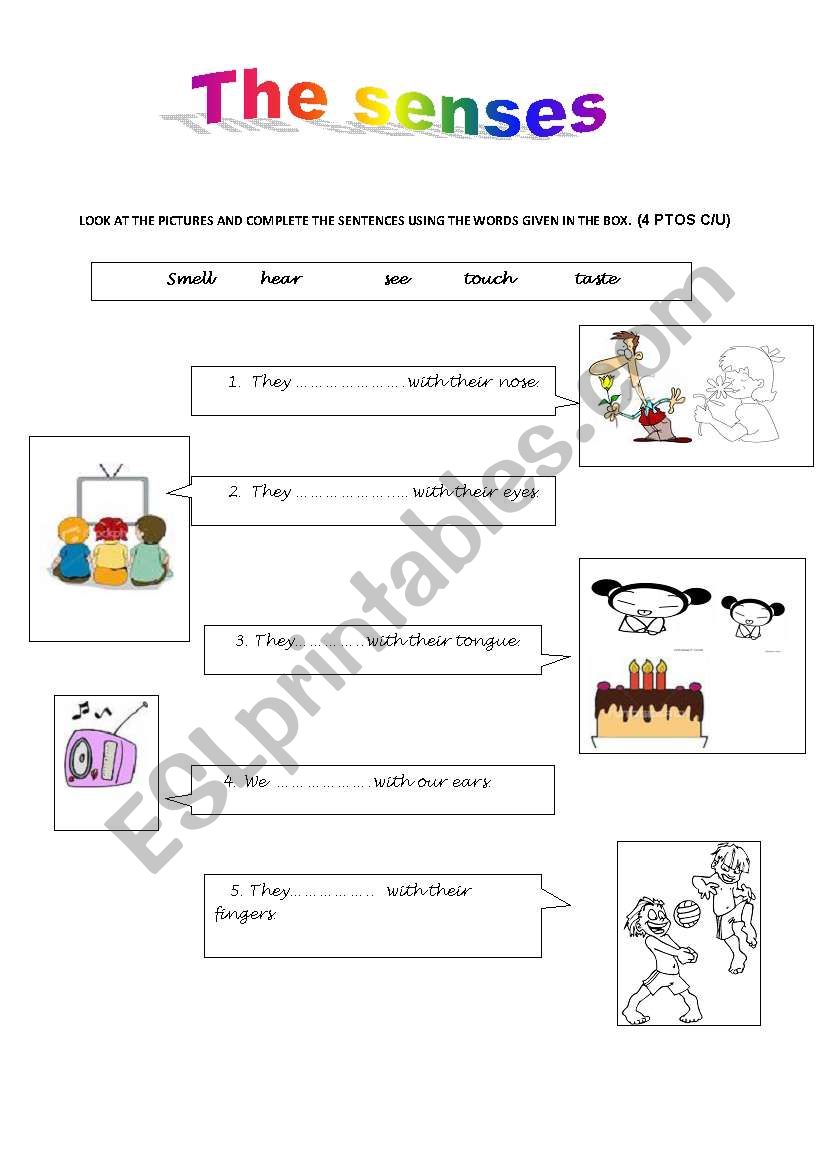 the senses worksheet