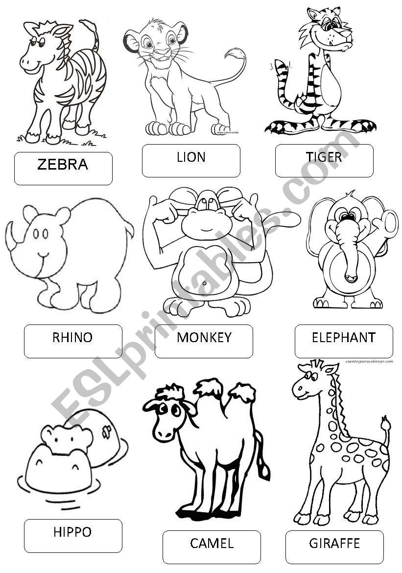 ZOO ANIMALS PICTIONARY worksheet