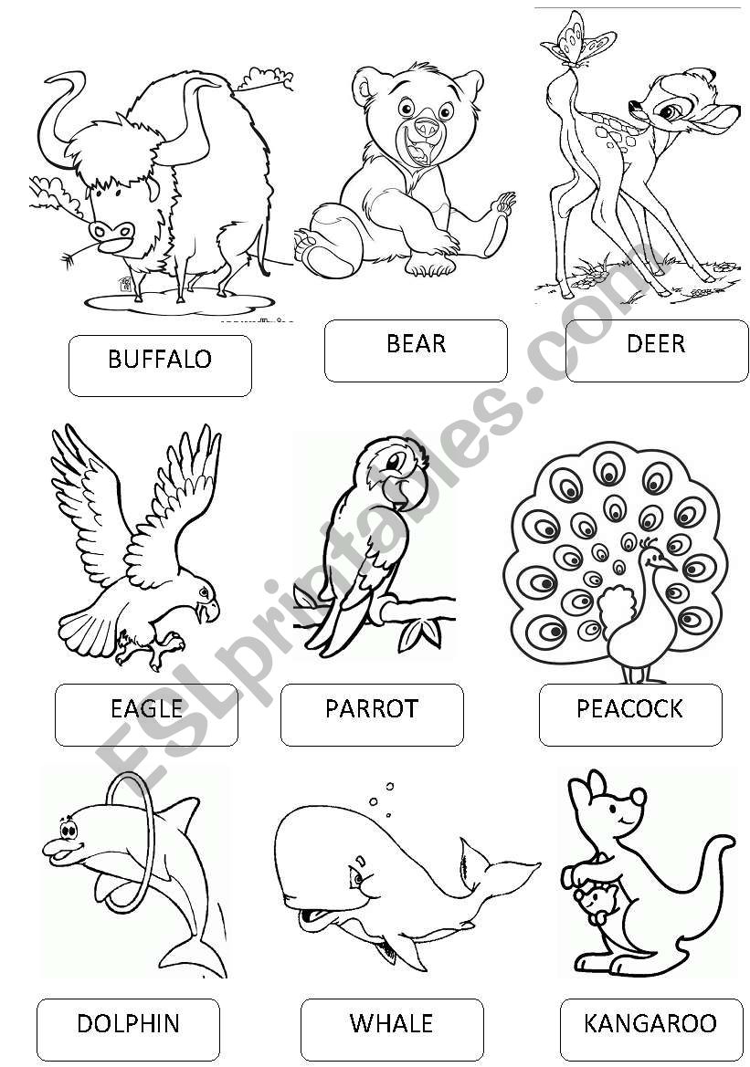 ZOO ANIMALS PICTIONARY 2 worksheet