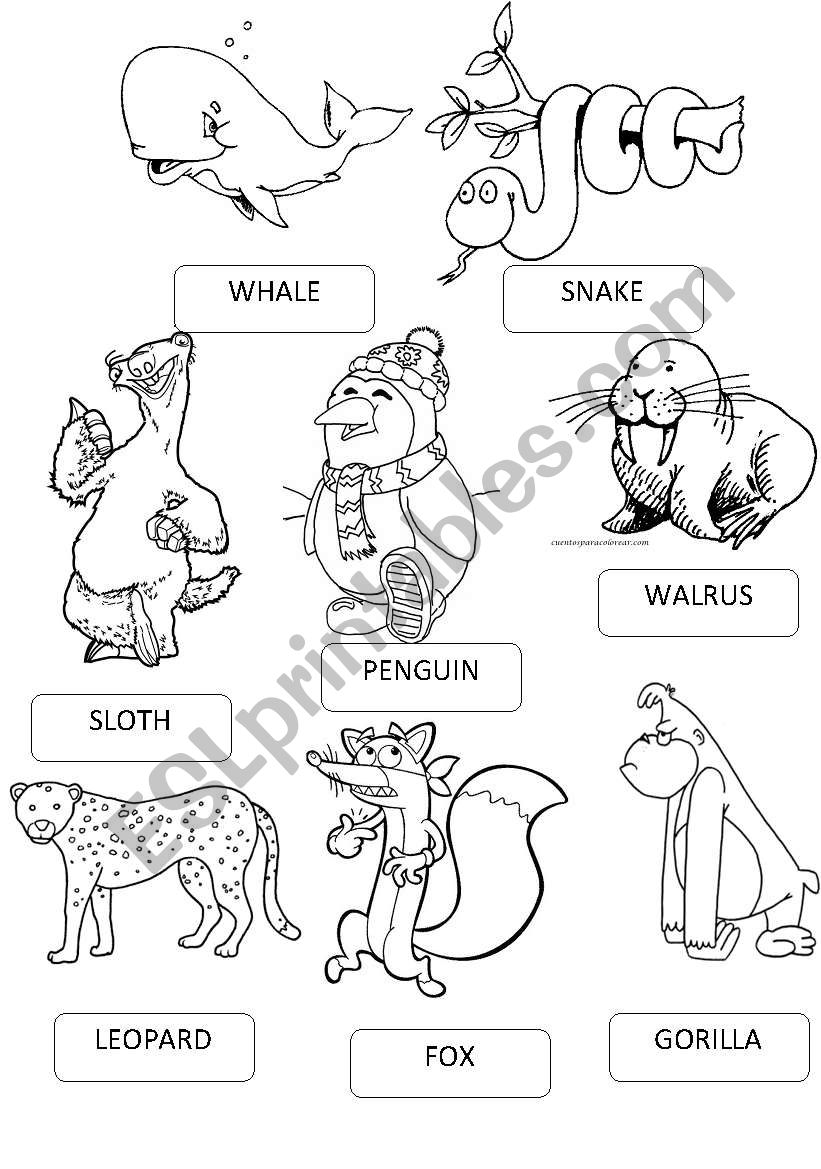 ZOO ANIMALS PICTIONARY 3 worksheet
