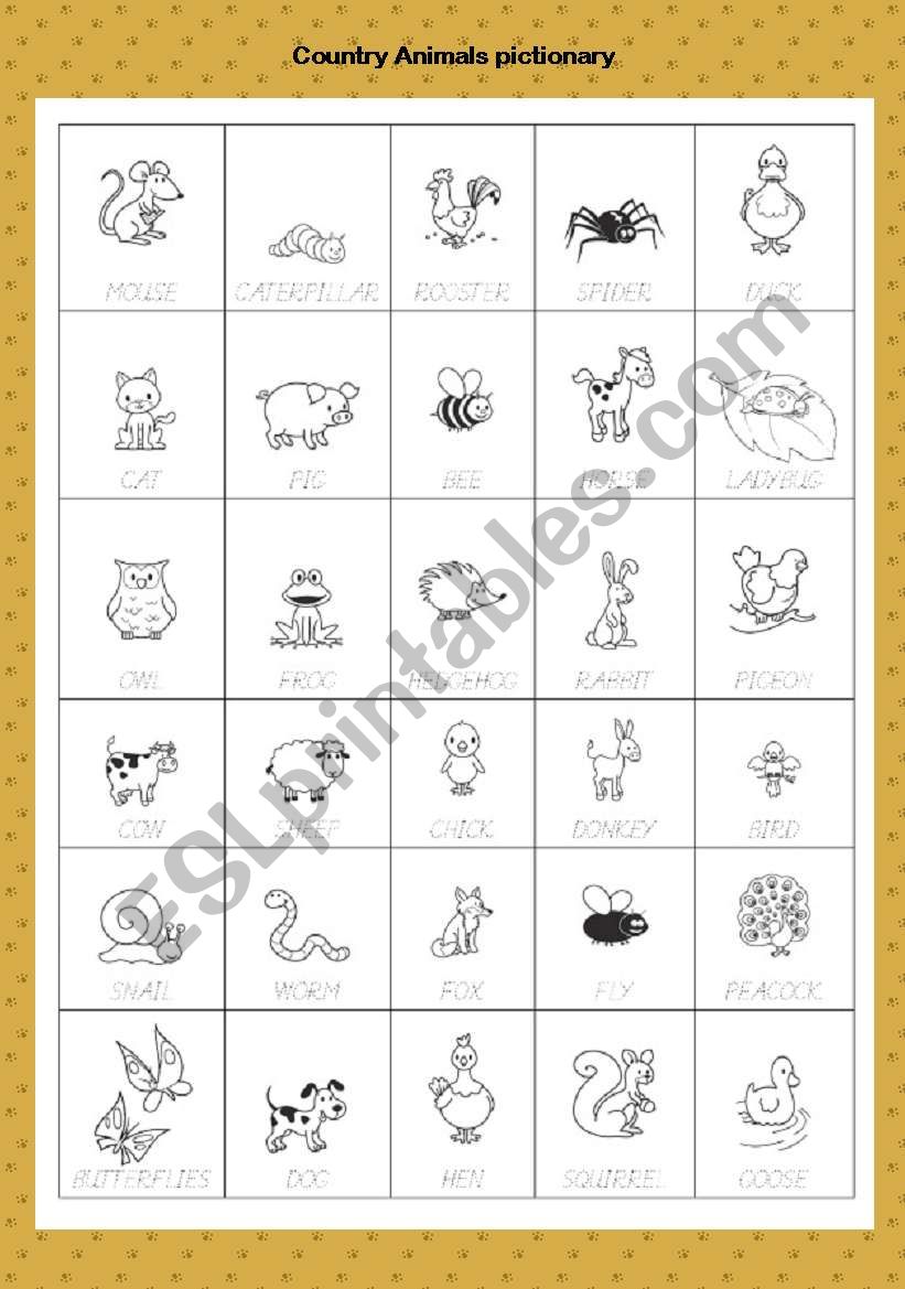 animals pictionary part1 worksheet