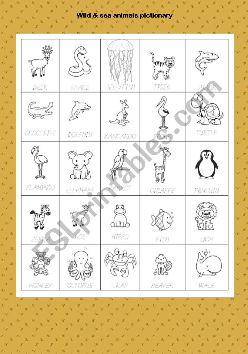 animals pictionary part2 worksheet