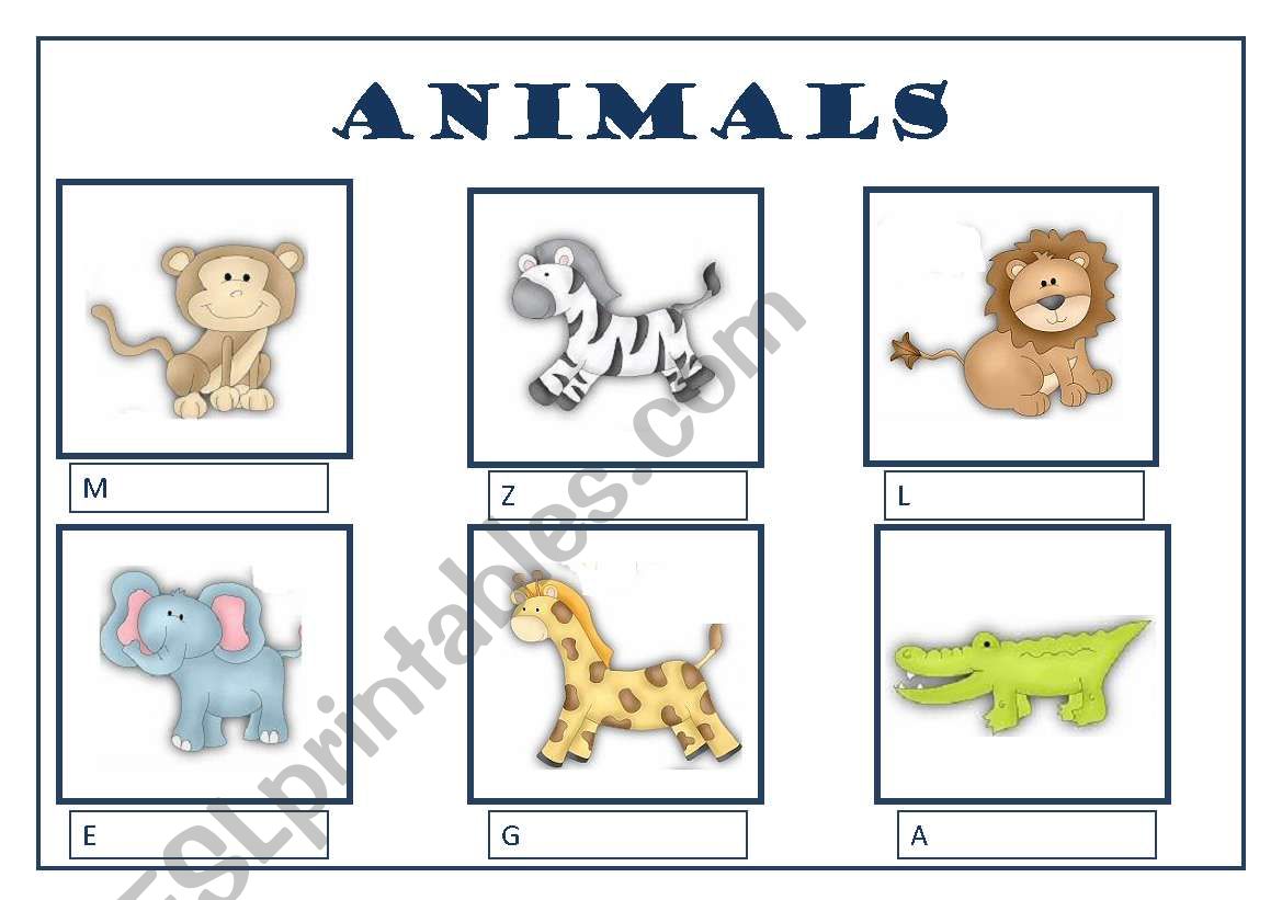 Animals worksheet