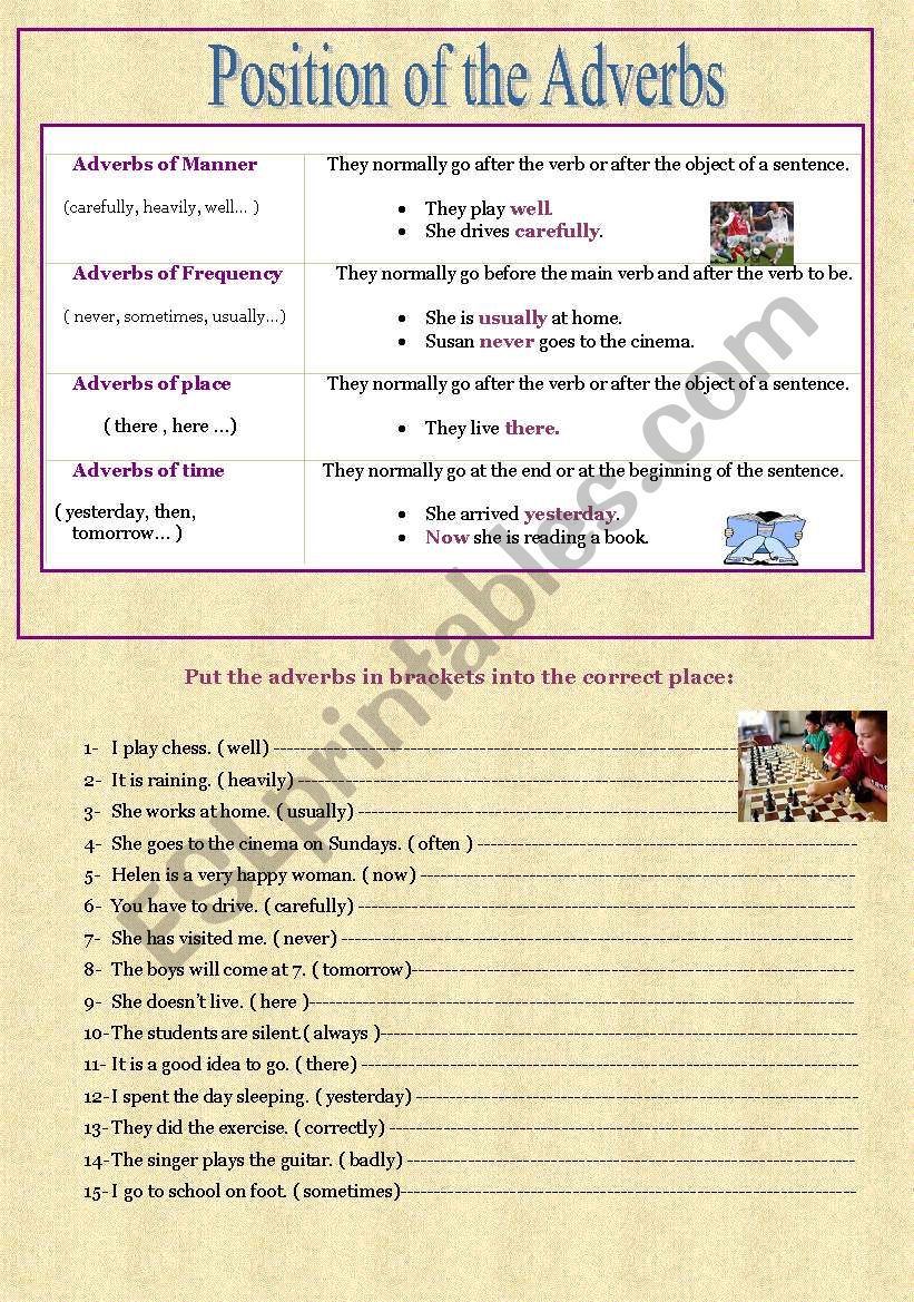 Position of the adverbs worksheet