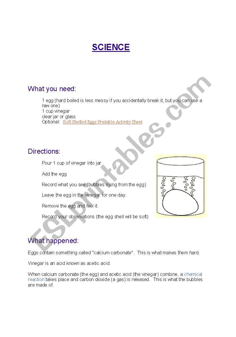 Science worksheet