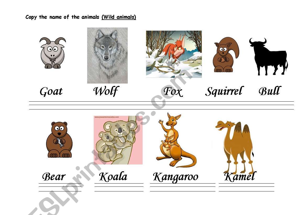 THE CALLIGRAPHY OF THE ANIMALS (MAMMALS -B-).